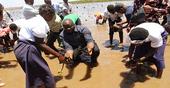Governador de Cabo Delgado lidera campanha  de plantio de 12 mil mudas de mangais