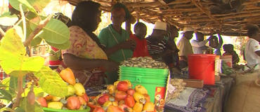 Produtores de Cabo Delgado exportam castanha ilegalmente para Tanzânia